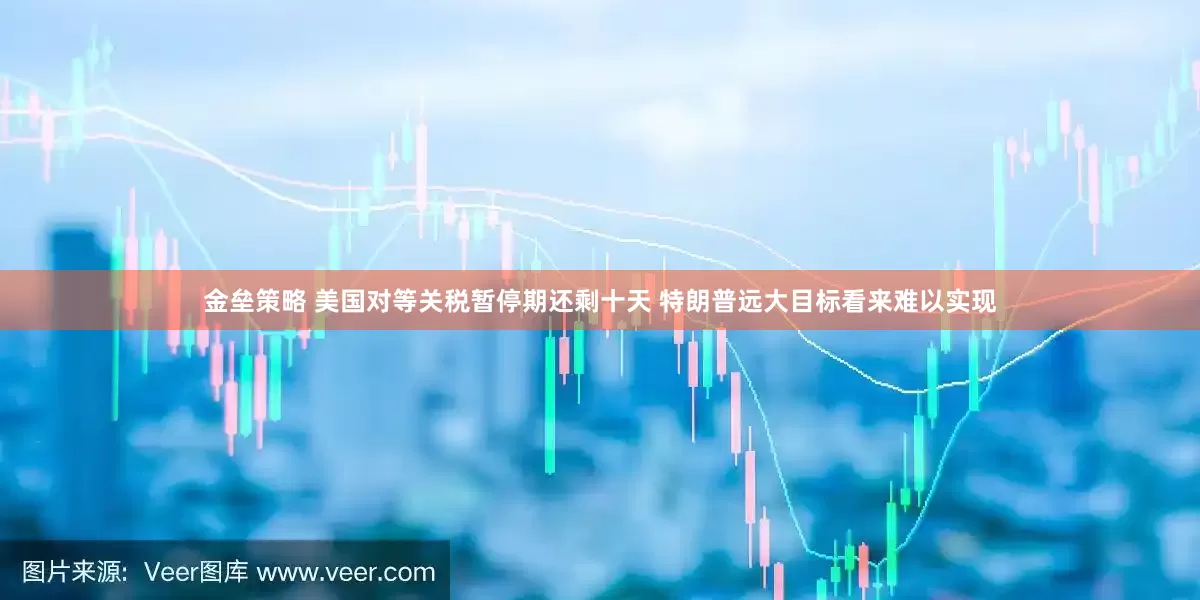 金垒策略 美国对等关税暂停期还剩十天 特朗普远大目标看来难以实现
