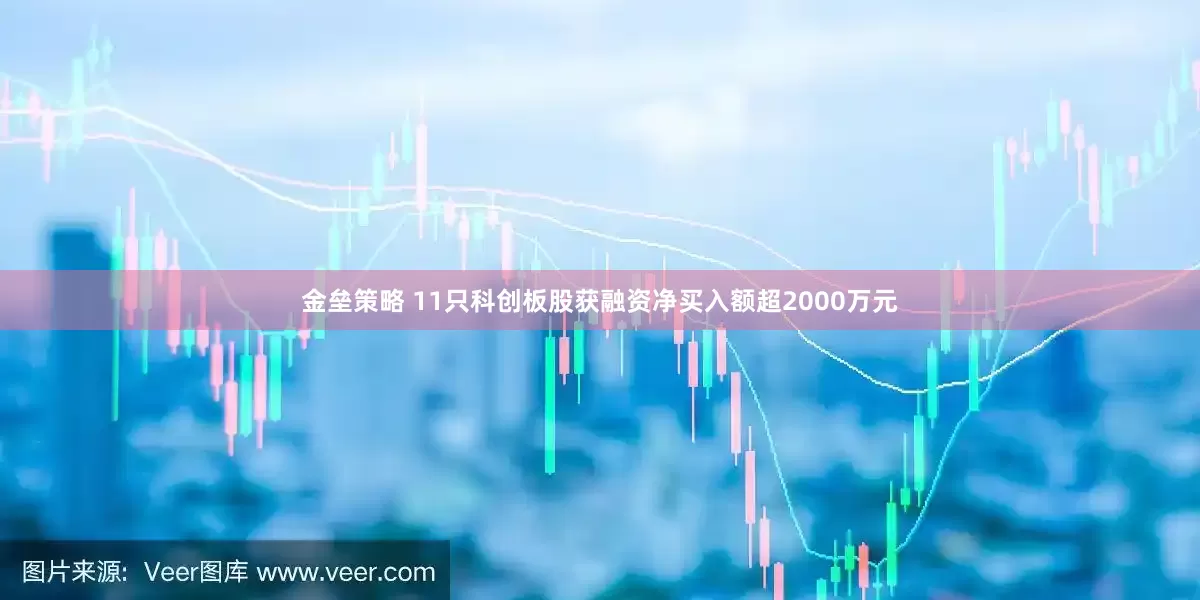 金垒策略 11只科创板股获融资净买入额超2000万元