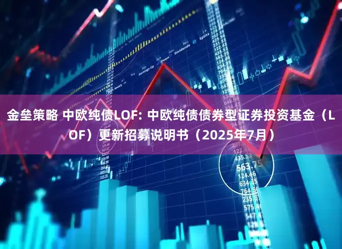 金垒策略 中欧纯债LOF: 中欧纯债债券型证券投资基金（LOF）更新招募说明书（2025年7月）