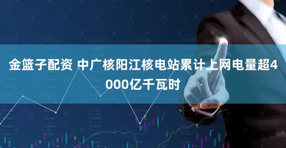 金篮子配资 中广核阳江核电站累计上网电量超4000亿千瓦时