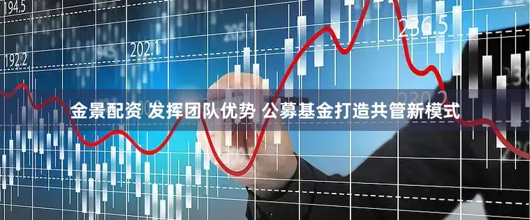 金景配资 发挥团队优势 公募基金打造共管新模式