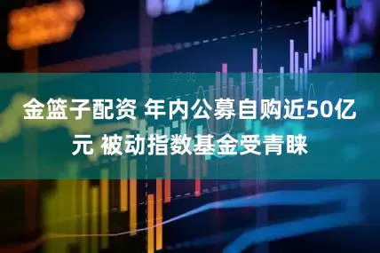金篮子配资 年内公募自购近50亿元 被动指数基金受青睐