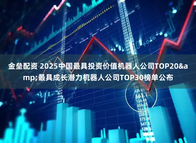 金垒配资 2025中国最具投资价值机器人公司TOP20&最具成长潜力机器人公司TOP30榜单公布
