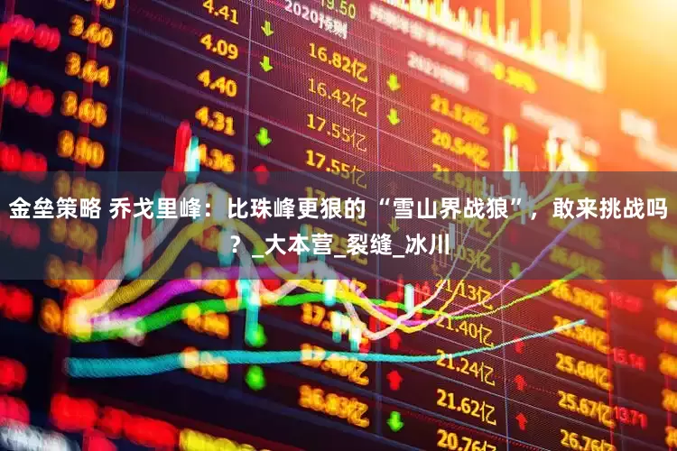 金垒策略 乔戈里峰：比珠峰更狠的 “雪山界战狼”，敢来挑战吗？_大本营_裂缝_冰川