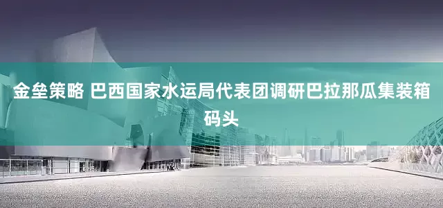 金垒策略 巴西国家水运局代表团调研巴拉那瓜集装箱码头